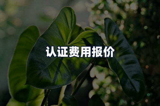 认证费用报价
