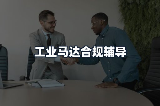 工业马达合规辅导